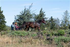 LR-WRF 10182025 Retreat-6387